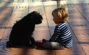 We asked Pappa for a new puppy, but he said no (which is only moderatly untrue...)