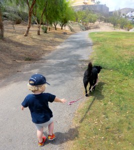 New dog, same dog-walking technique...