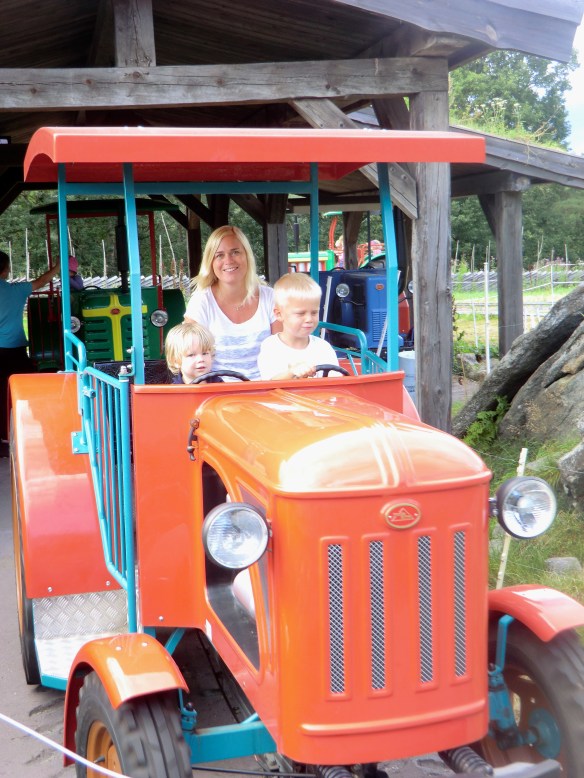Tractor rides came in a close second to train rides.